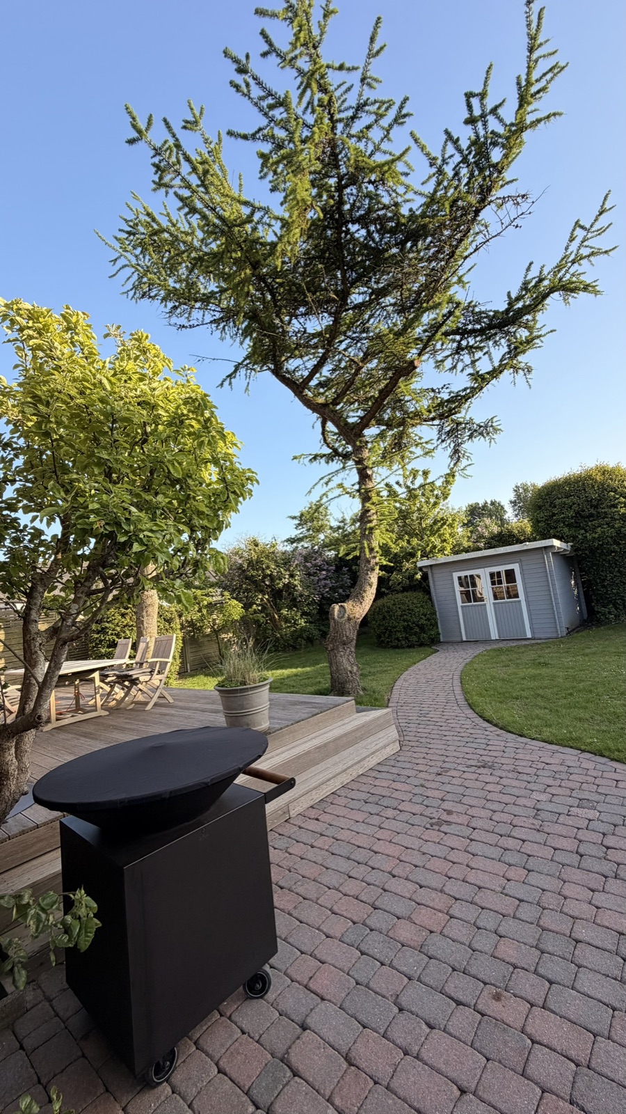 Garten mit Schuppen und Rasenfläche