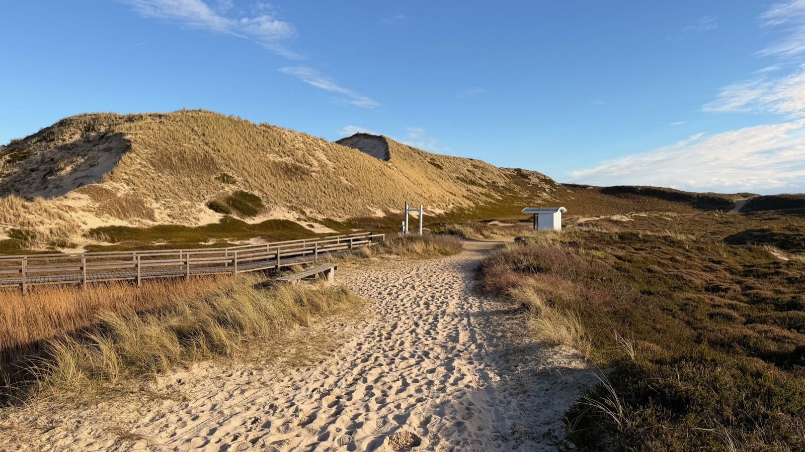 Sandweg durch die Dünen zum Strand im Abendlicht